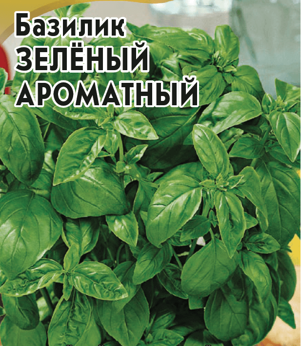 Семена Базилик Зеленый ароматный/ 10 шт/50/100/бел пакет (Ф*), код: Р3331