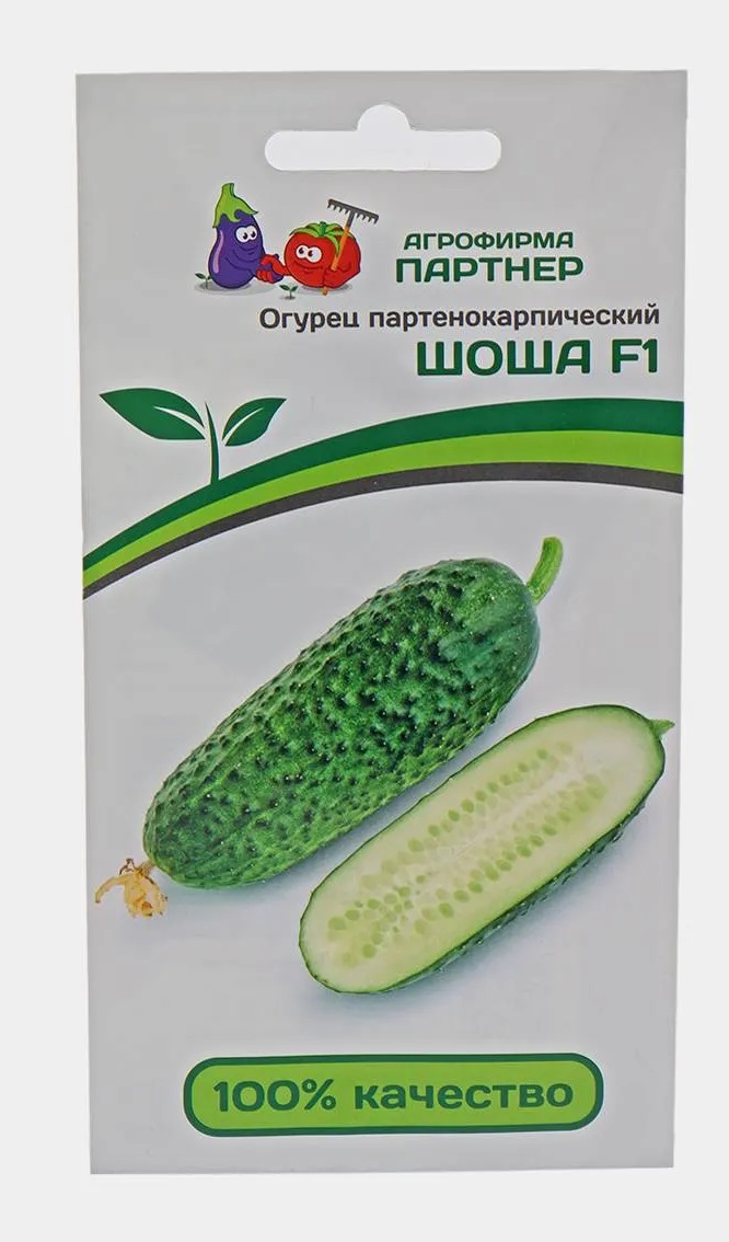 Семена Огурец  Шоша 5шт /10 шт/50/100 цветной ПАКЕТ Партнер F1 (Ф*), код: ф1485