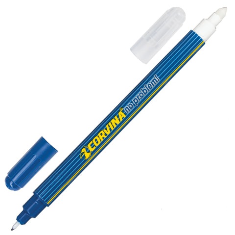 Ручка шар. синяя ПИШИ-СТИРАЙ CORVINA  0.5мм/50шт 41425 (Ф*), код: у8180